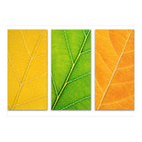 Autumn Leaves (Print Only) thumbnail
