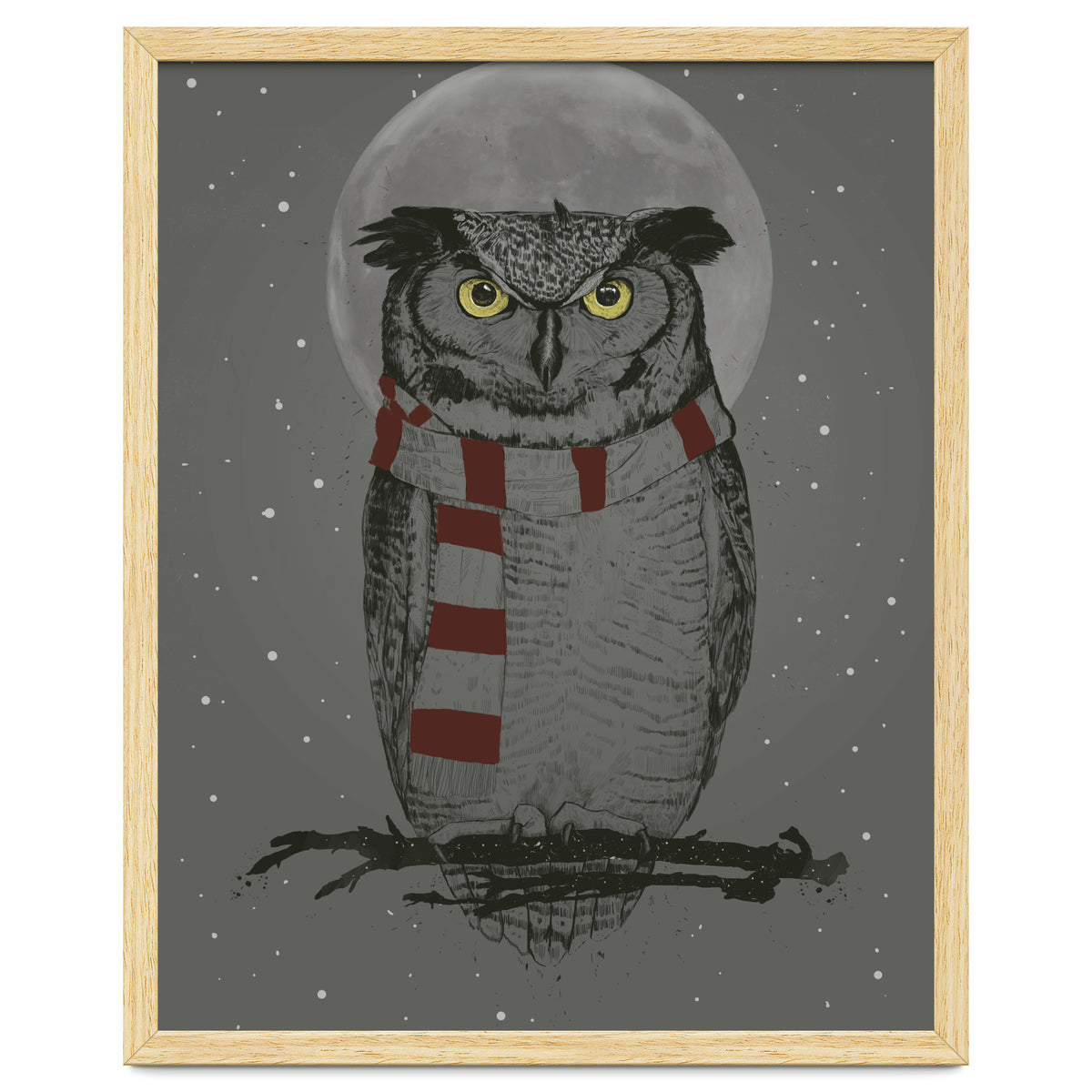 Winter Owl