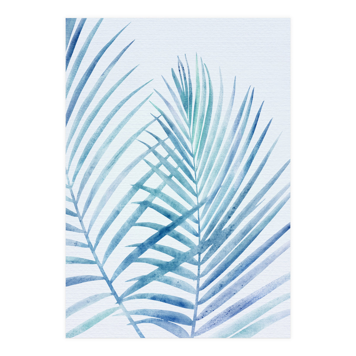 Coastal Palm Fronds (Print Only)