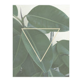 ficus triangle (Print Only) thumbnail