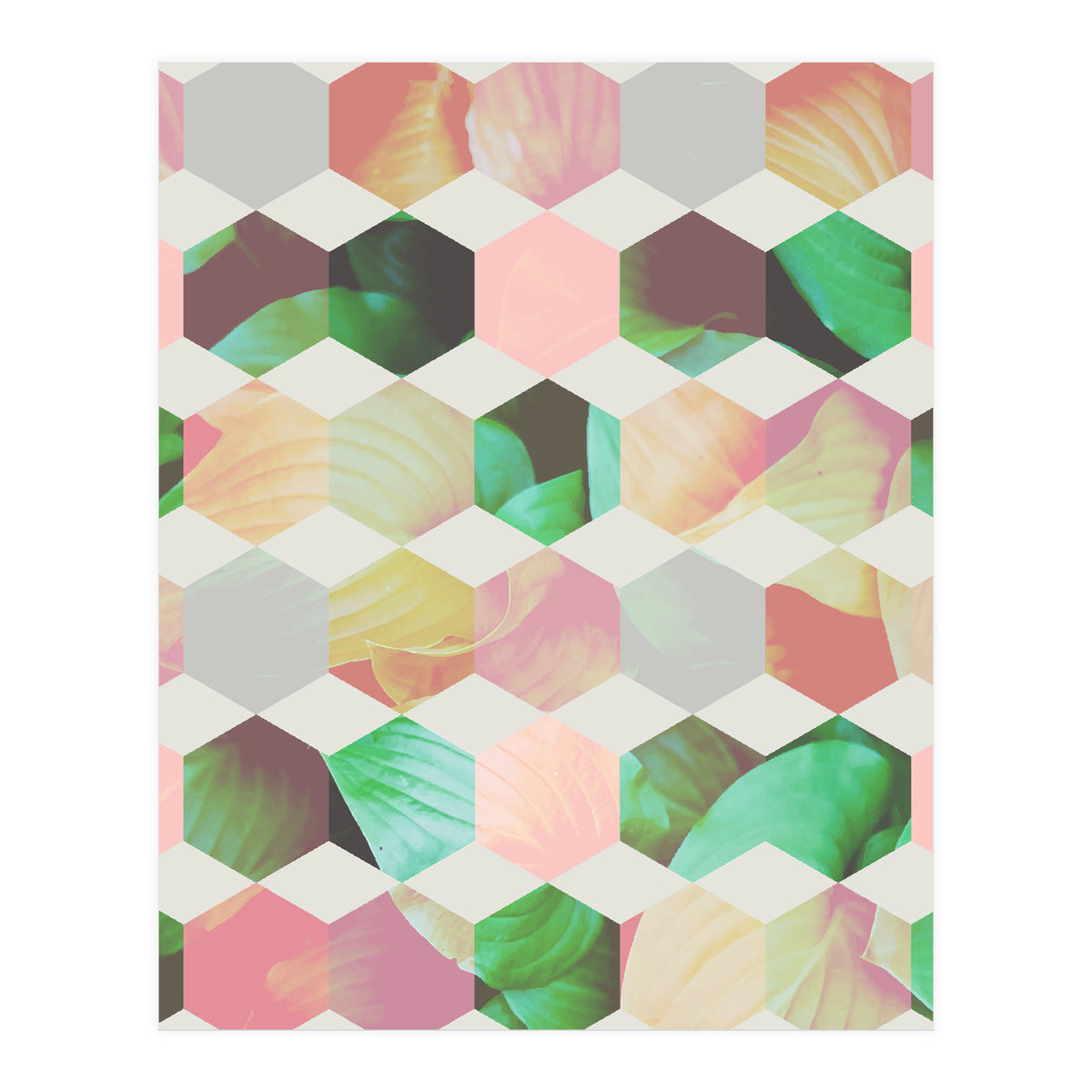 Epsilon (Print Only)