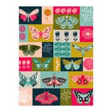 Lepidoptery (Print Only) thumbnail