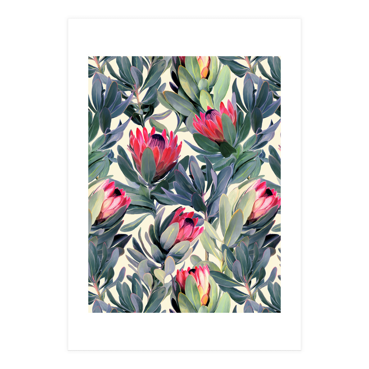 Painted Protea Pattern (Print Only)