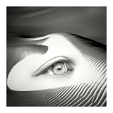 Untrue (Print Only) thumbnail