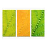 Autumn Leaves (Print Only) thumbnail