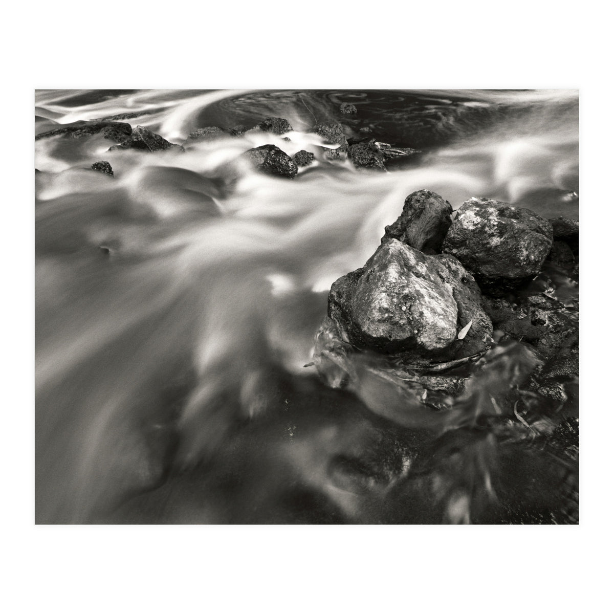 The Stream (Print Only)