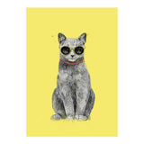 Summer Cat (Print Only) thumbnail