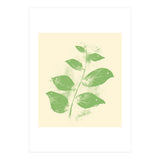 Flying Leaves (Print Only) thumbnail