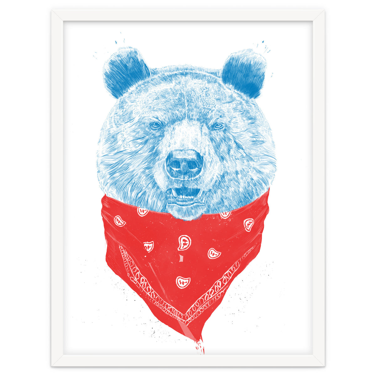 Wild Bear Color Version