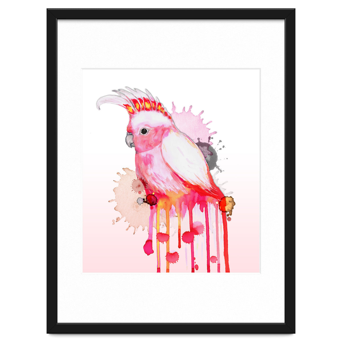 Major Mitchell's cockatoo