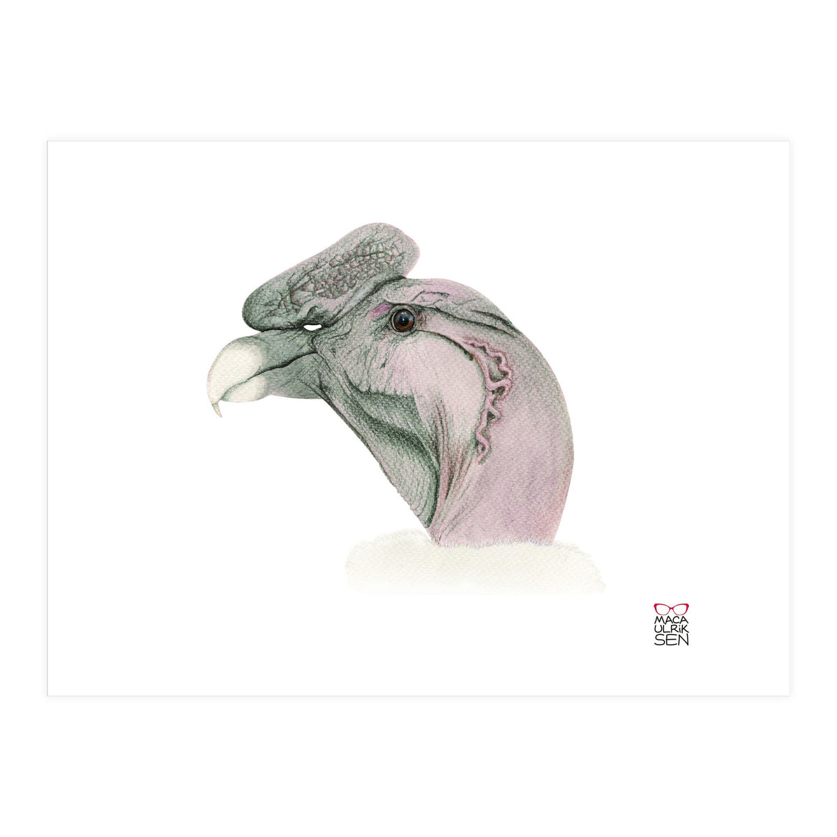 Andean condor (Print Only)