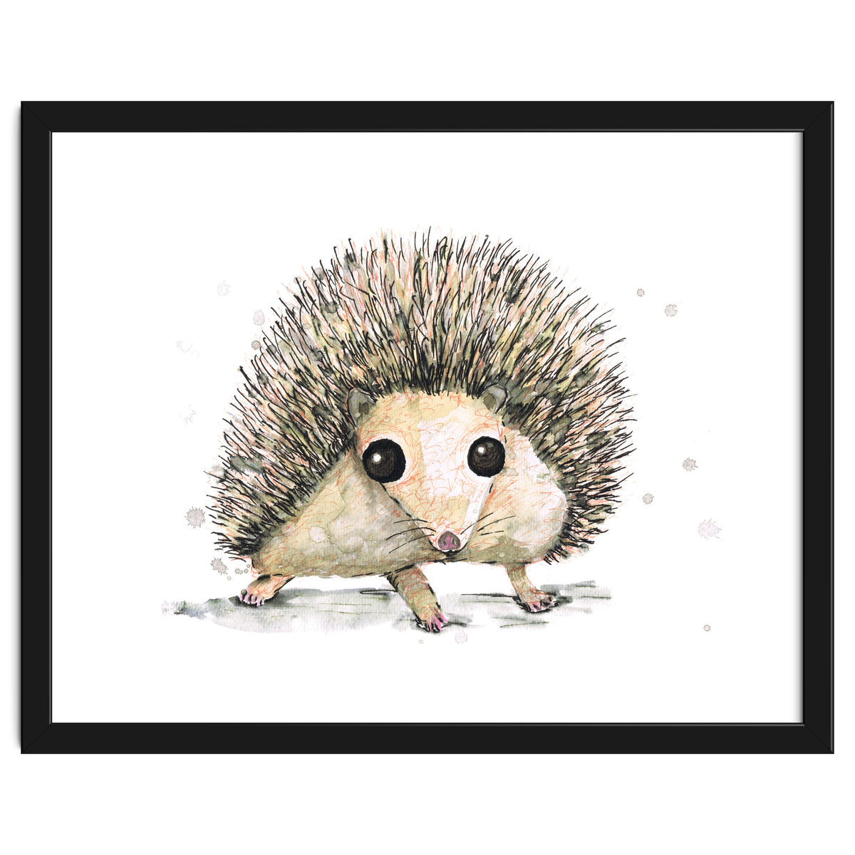 Hedgehog