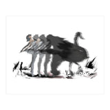 The Black Swan (Print Only) thumbnail
