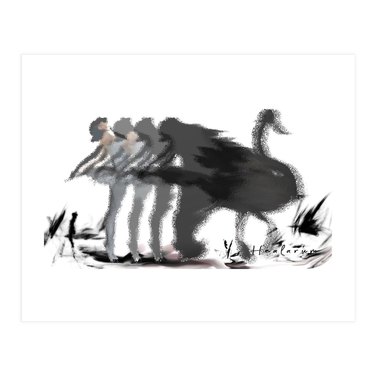 The Black Swan (Print Only)