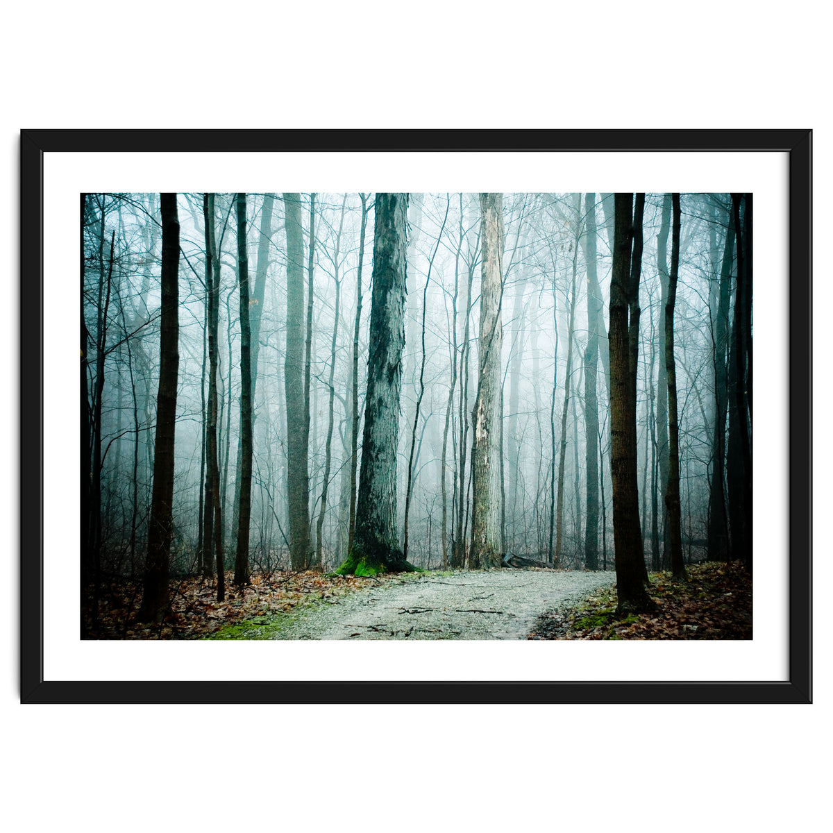 Gather Up Your Dreams