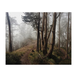 Mt. Davidson I (Print Only) thumbnail