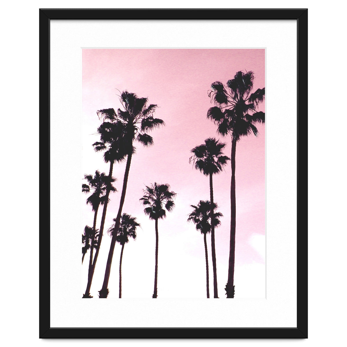 Palms & Sunset