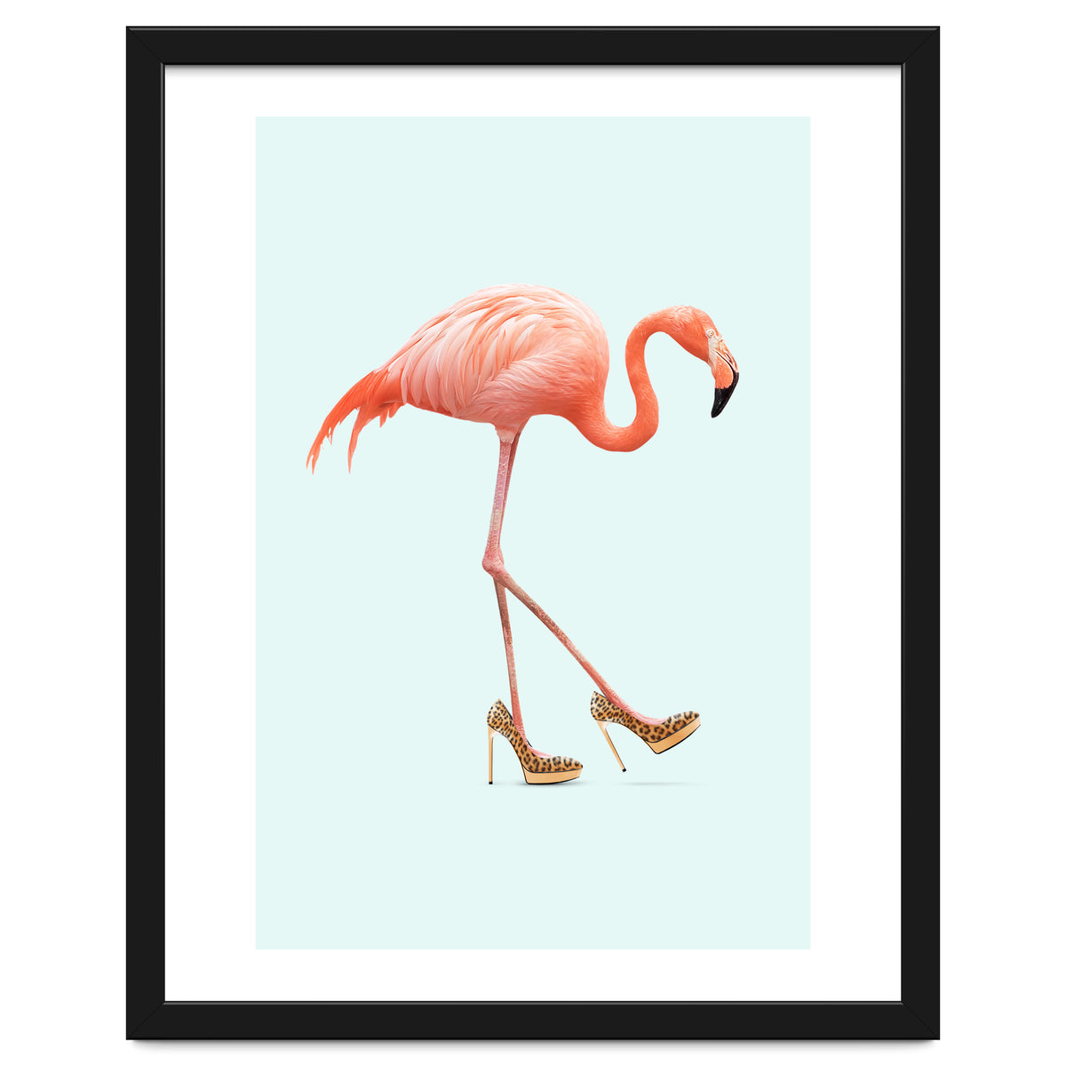 Fancy Flamingo