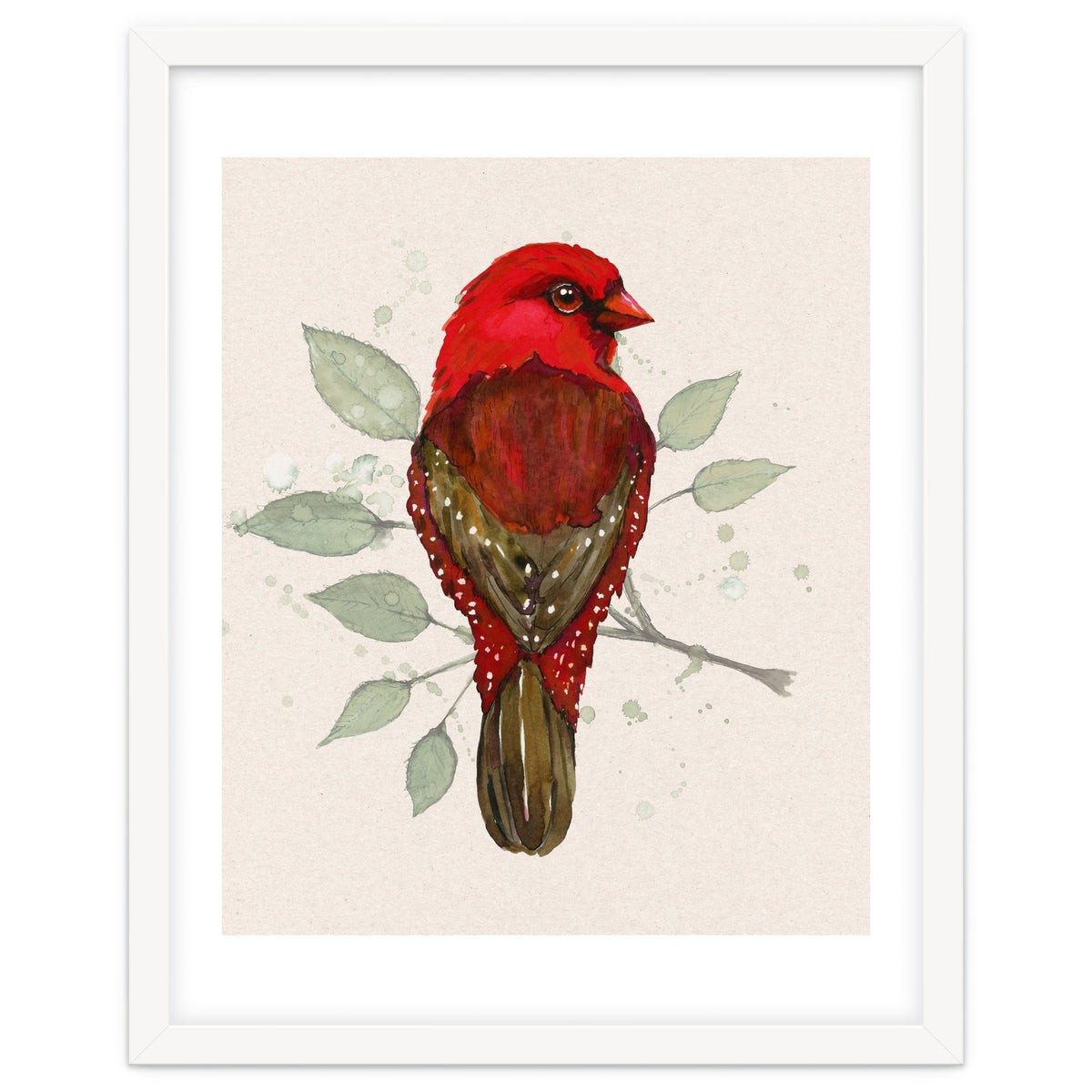 Red avadavat watercolor