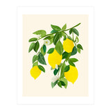 Sunny Lemons (Print Only) thumbnail