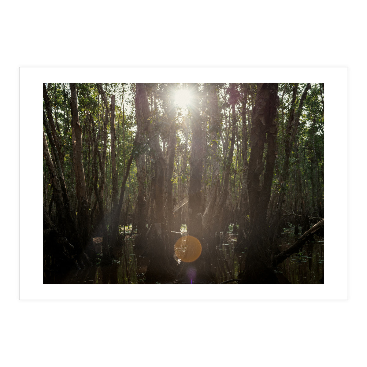 Morning in Vietnam (Print Only)