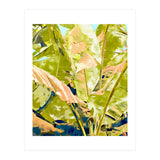 Blush Banana Tree, Tropical Banana Leaves Painting (Print Only) thumbnail