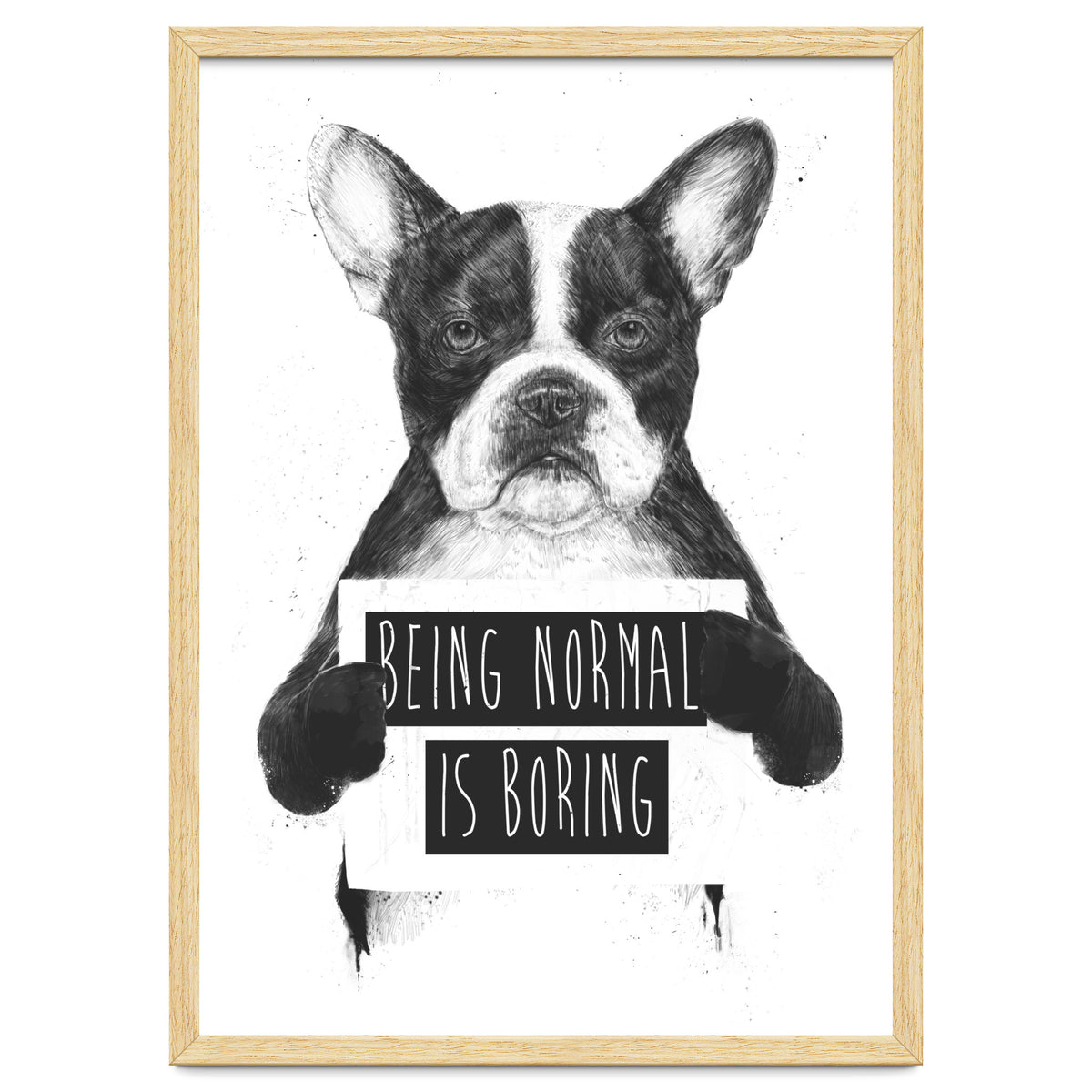 Being Normal Is Boring