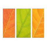 Autumn Leaves (Print Only) thumbnail