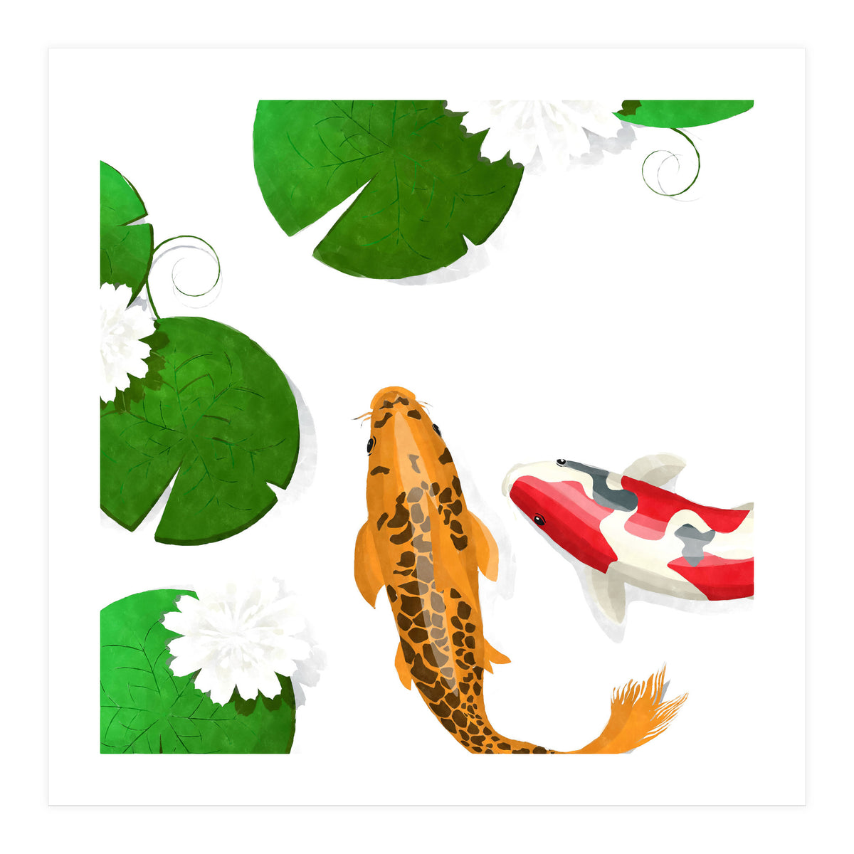 Koi fish background (Print Only)
