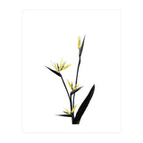Flower Minimal Black And Gold 05 (Print Only) thumbnail