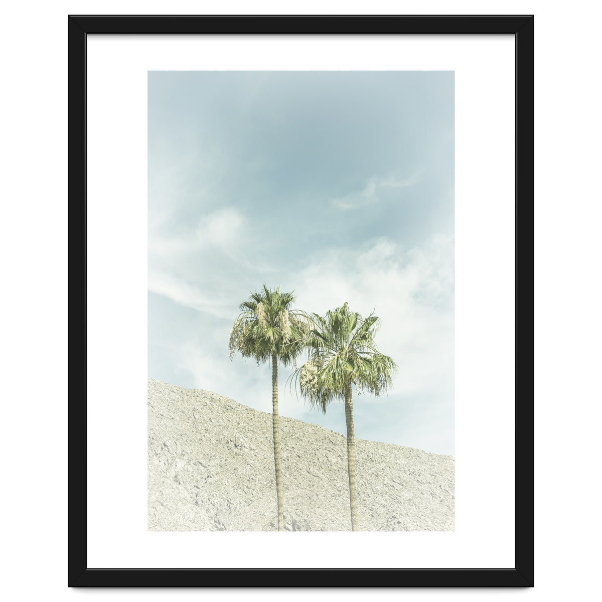 Palm Trees in the desert | Vintage