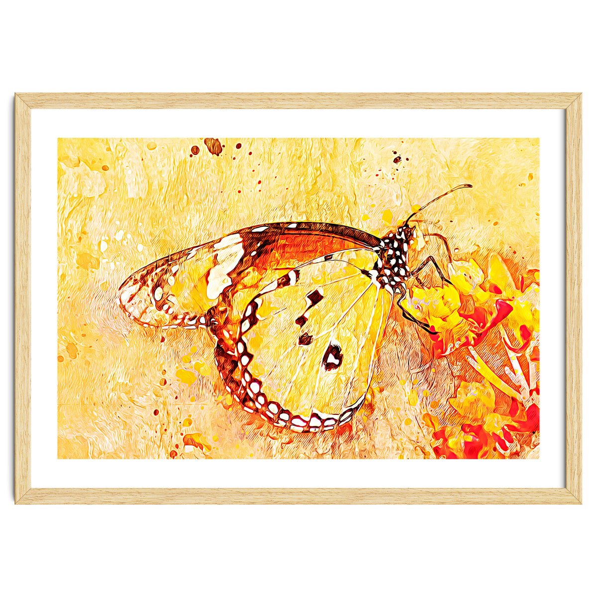 Butterfly On Aclepias