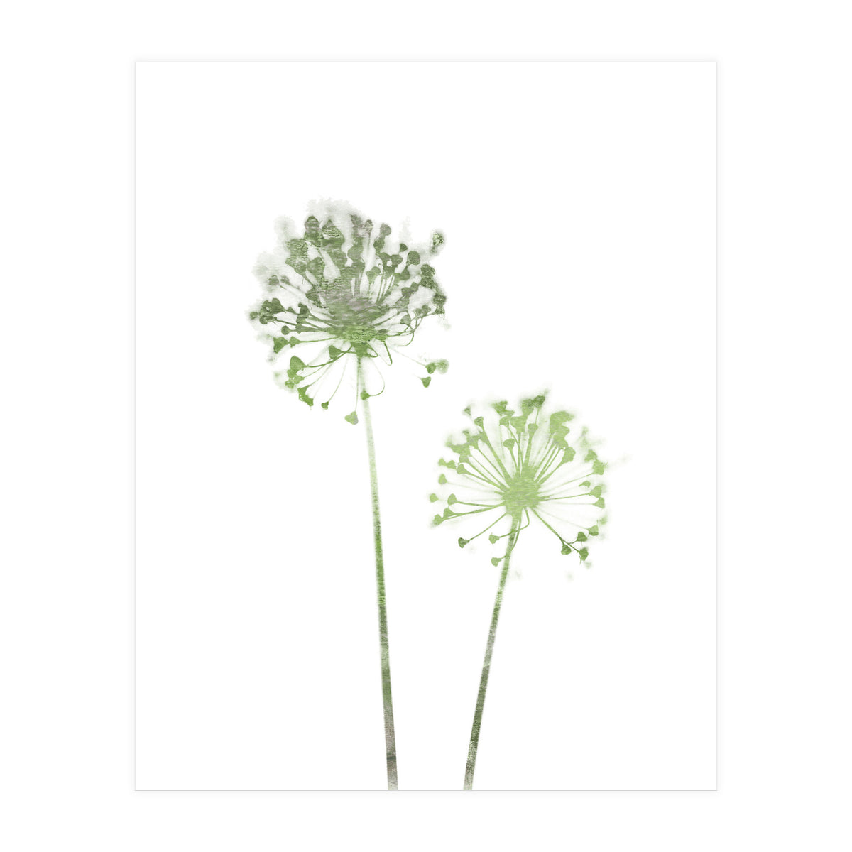 Olive Green Dandelion (Print Only)