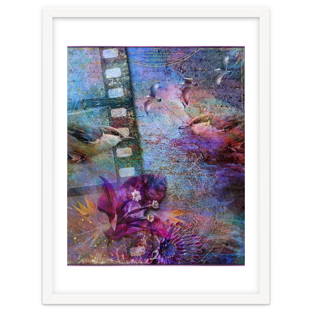 Watching the Wild World