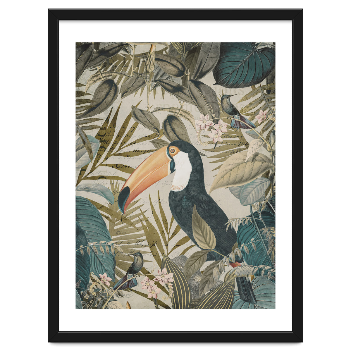Jungle Toucan