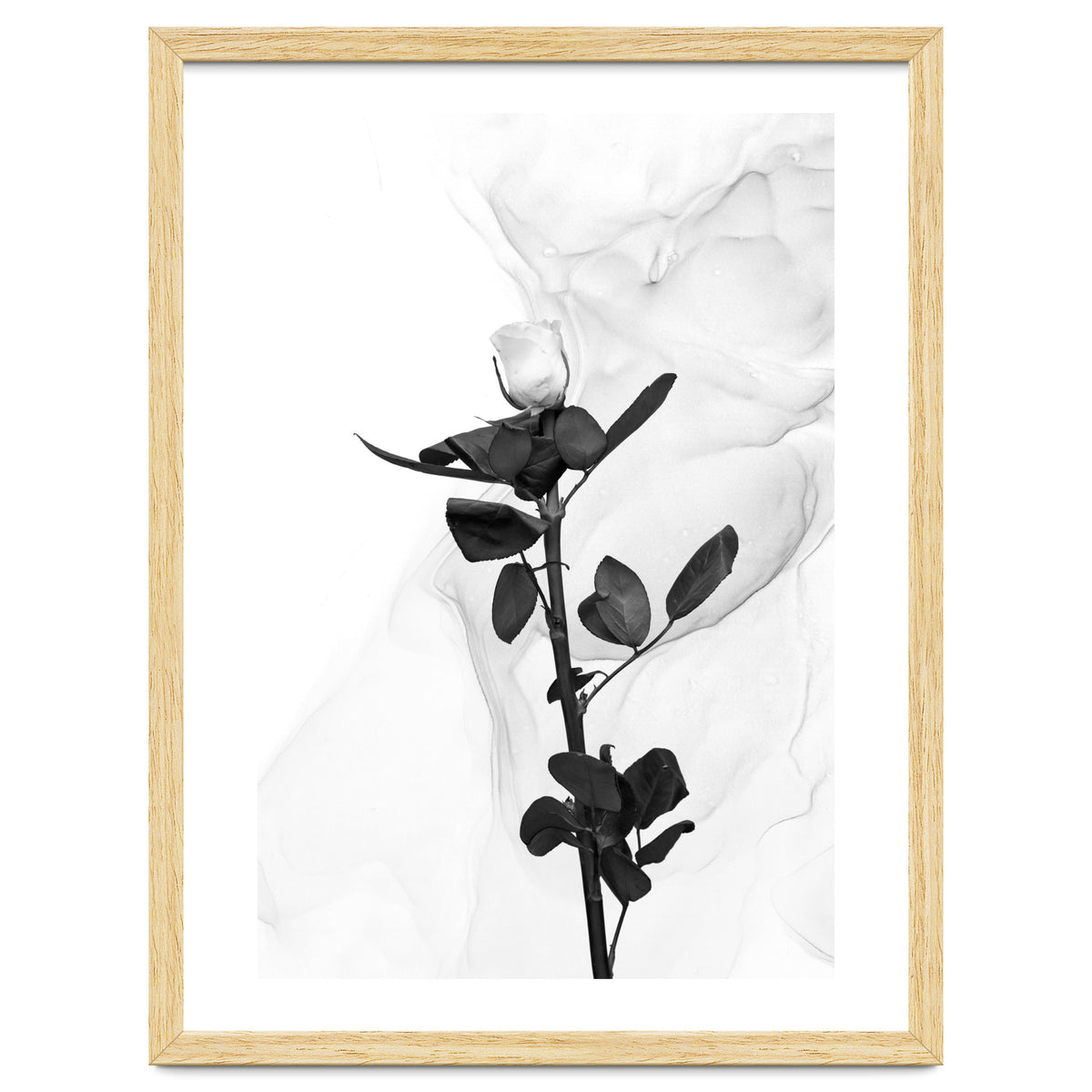 White Rose | Liquid Art