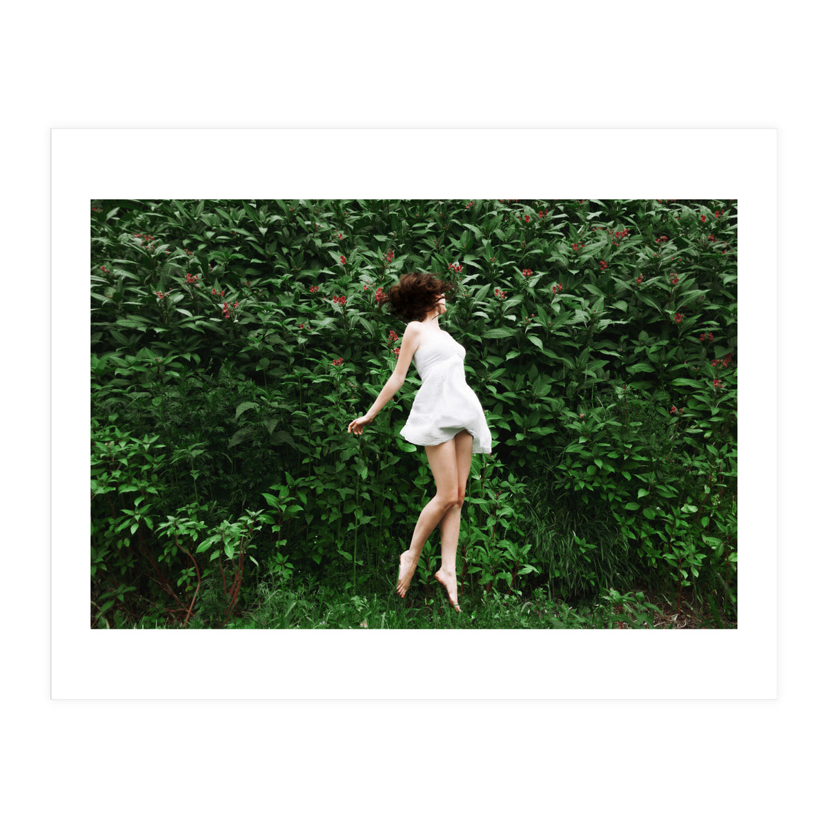 Greenfields (Print Only)