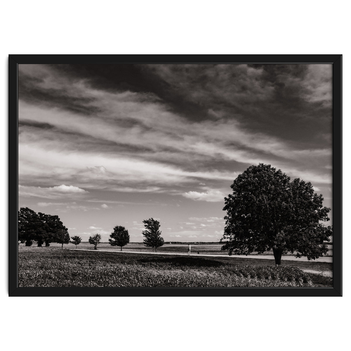 Country Road, Illinois