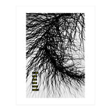 Mad Mind 4 (Print Only) thumbnail