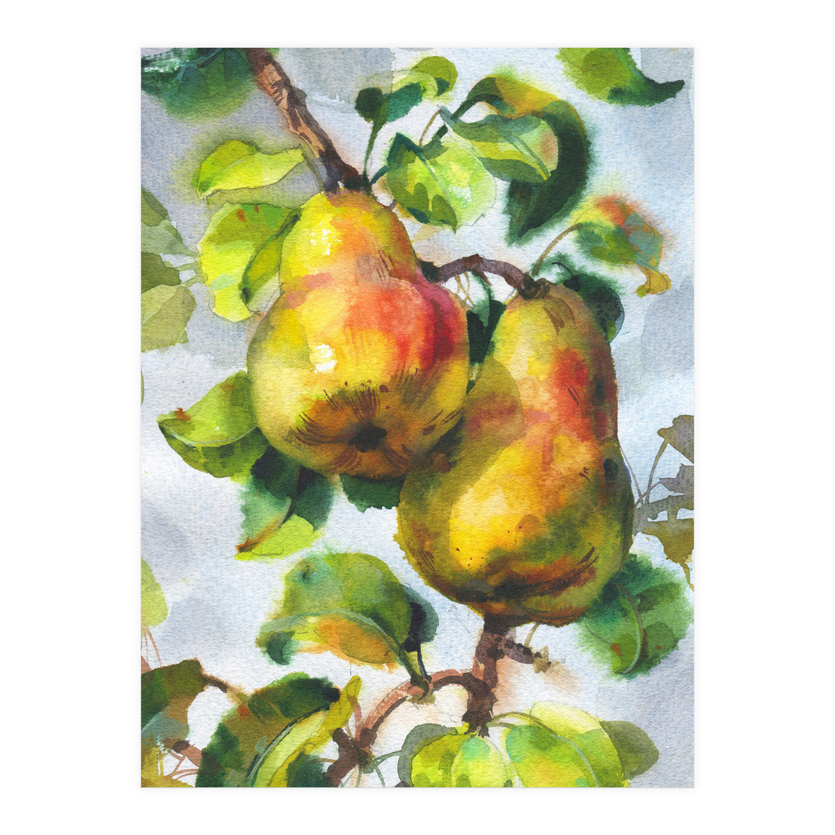 Pears (Print Only)