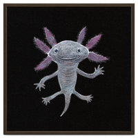 Axolotl