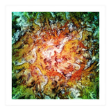 The Natural Light (Print Only) thumbnail