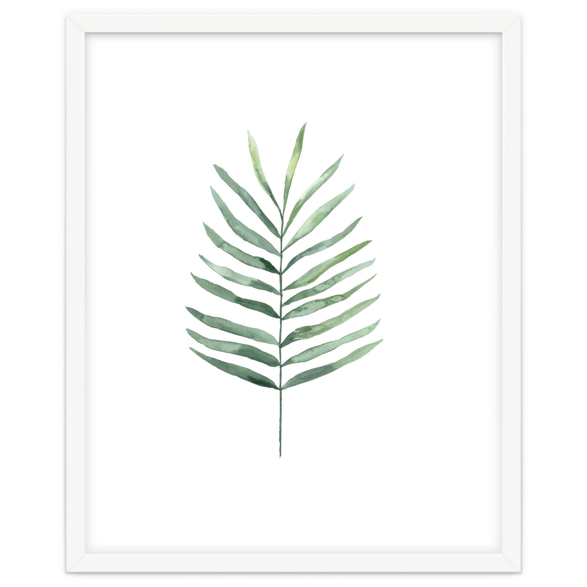 Botanical Illustration Fern