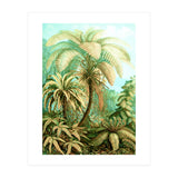 Vintage Tropical | Jungle Botanical Nature Banana Tree | Bohemian Plants Trees Forest (Print Only) thumbnail