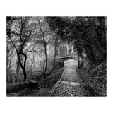 Monochrome path (Print Only) thumbnail