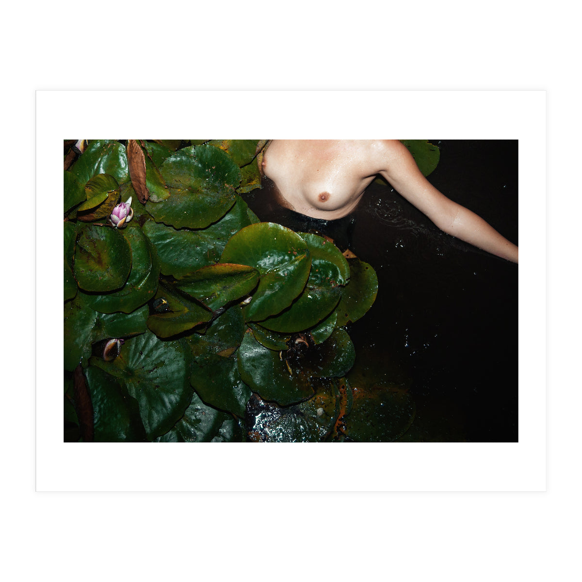 This is Not what You think It is (Print Only)