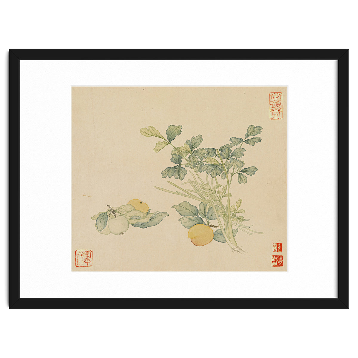 Wang Chengyu~flowers And Vegetables, Vegetables, Fruits, Plums, Apricots, Celery