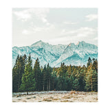 Winter Weather (Print Only) thumbnail