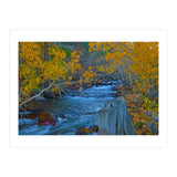 Nature (Print Only) thumbnail