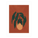 Boho Terracotta Begonia (Print Only) thumbnail